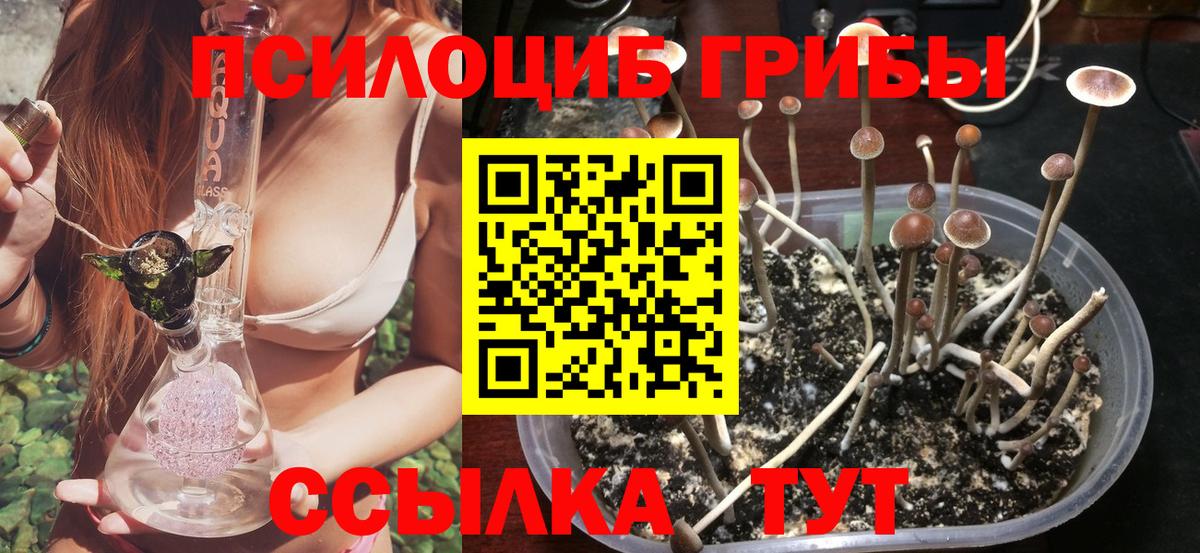 Миасс  Галлюциногенные грибы ЛСД  Вход с VPN  Псилоцибиновые грибы Magic Shrooms 
