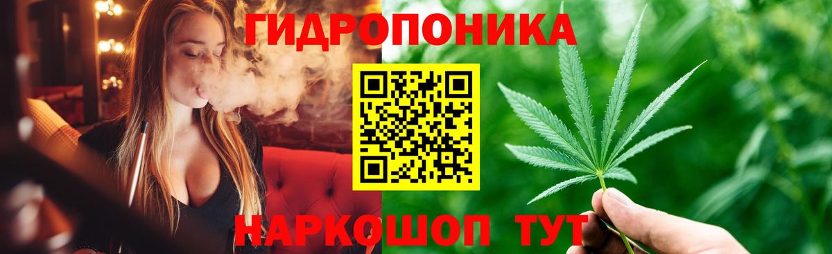 Бошки марихуана конопля  Вход с VPN  Миасс  МАРИХУАНА конопля  Бошки марихуана сатива 